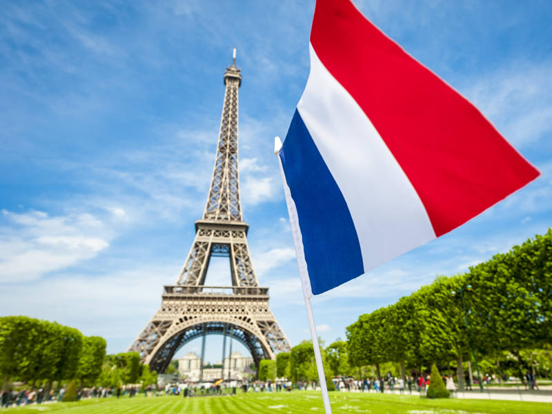 French for Beginners